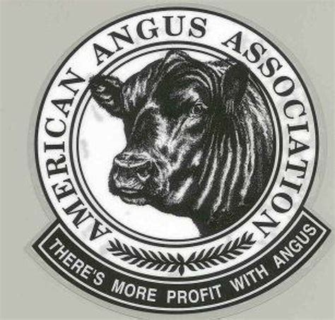 American angus assn - The American Angus Association is the nation’s largest beef breed registry with nearly 25,000 adult and junior members. The Association’s goal is to serve the beef cattle industry, and to increase the production of consistent, high quality beef that will better satisfy consumers throughout the world. The Association is comprised of the ...